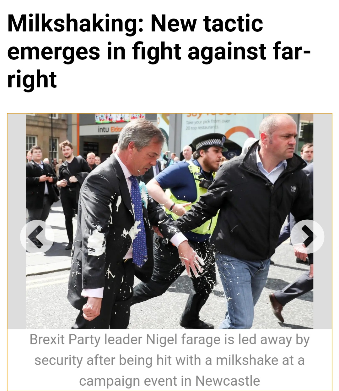 Nigel Farage security